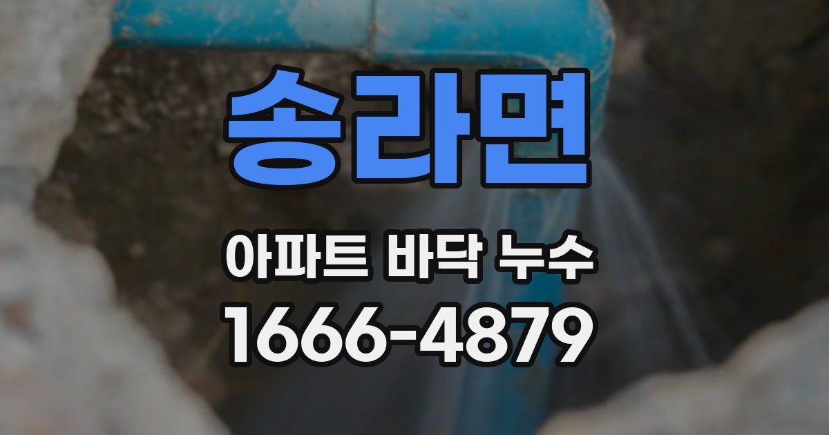 송라면 아파트 바닥 누수
