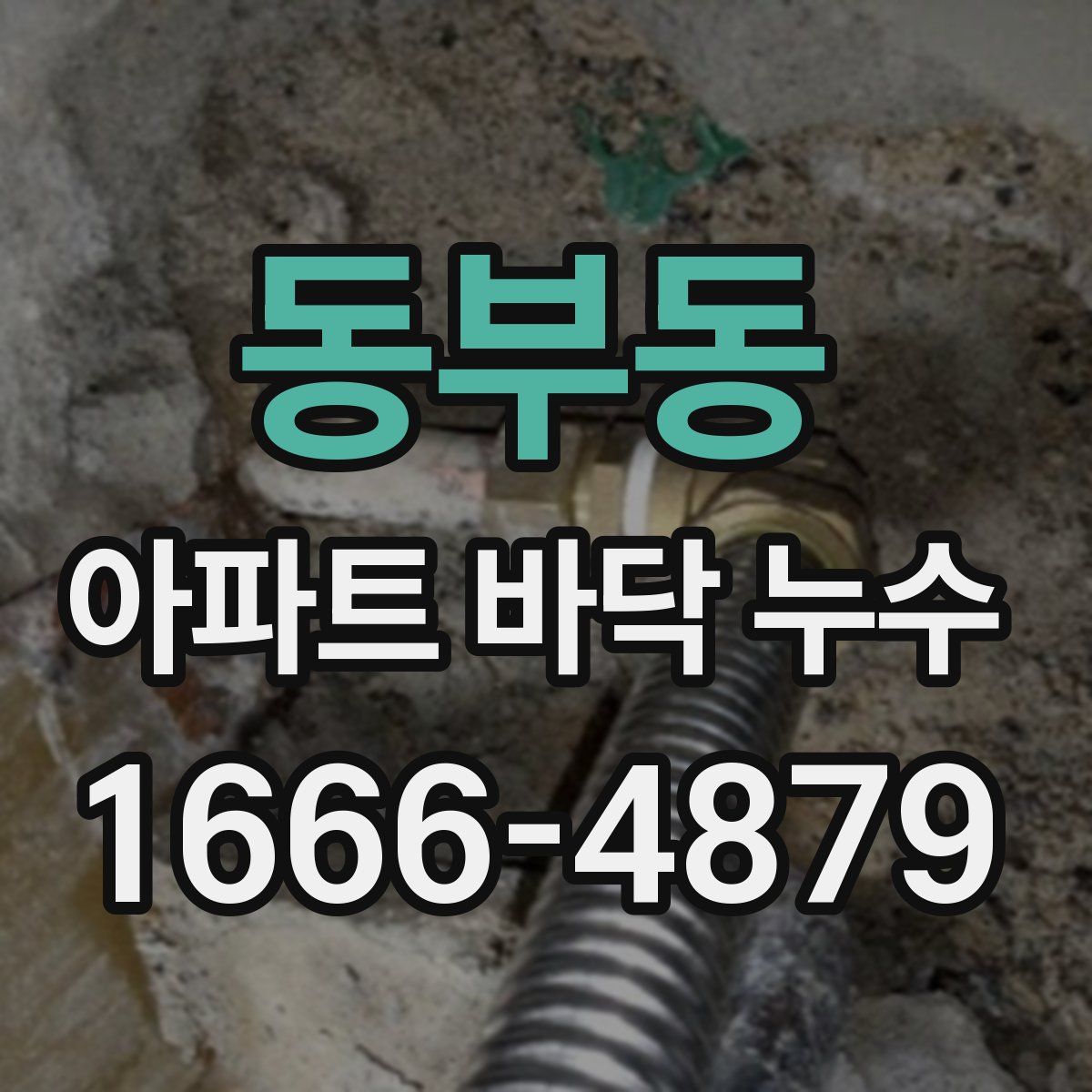 동부동 아파트 바닥 누수