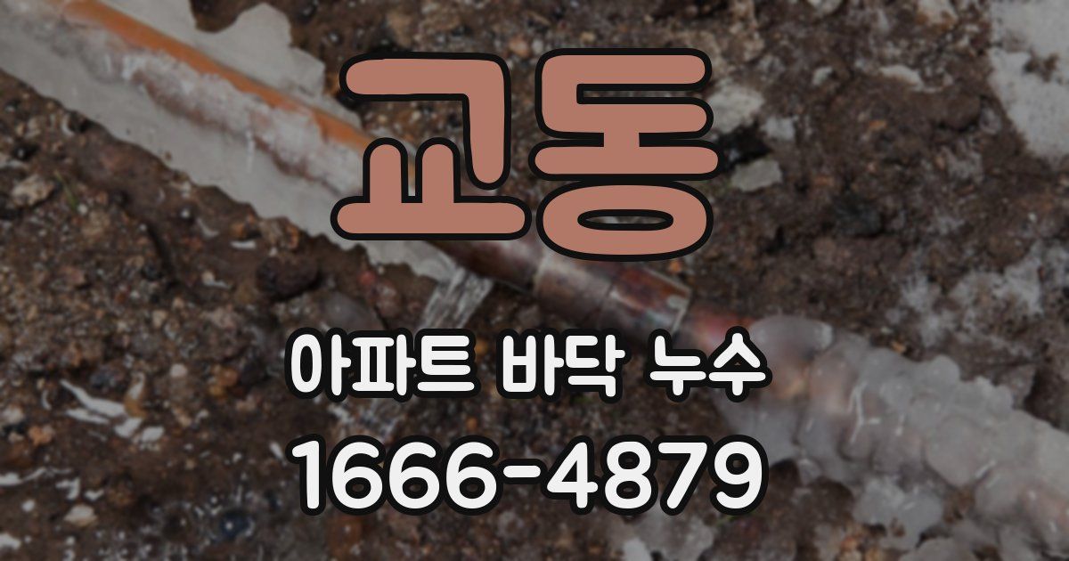 교동 아파트 바닥 누수