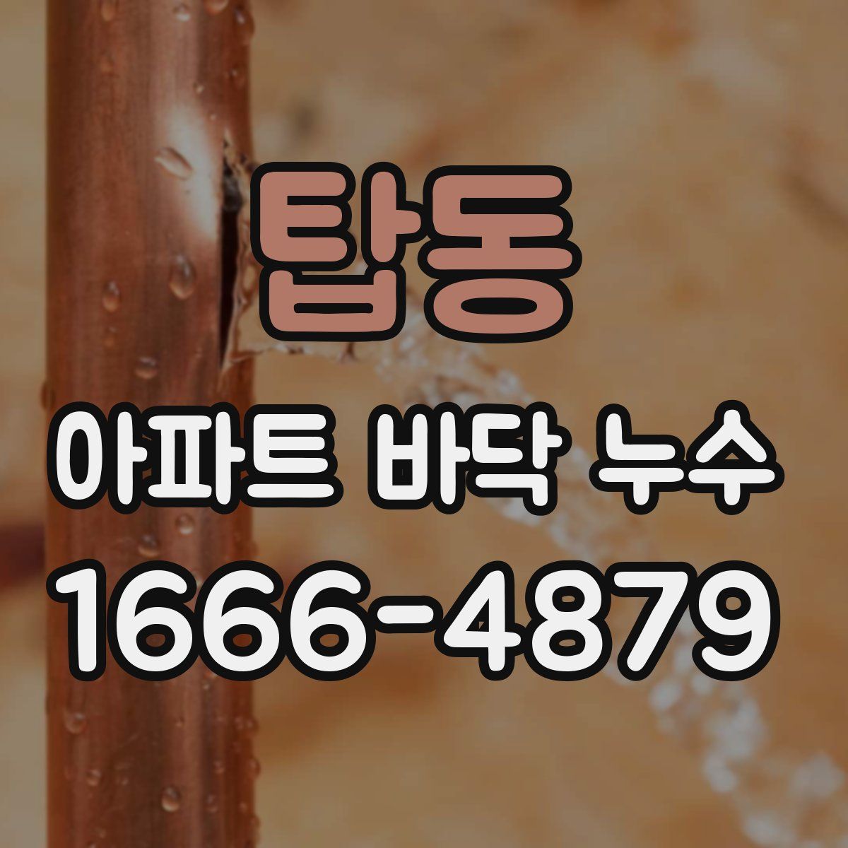 탑동 아파트 바닥 누수