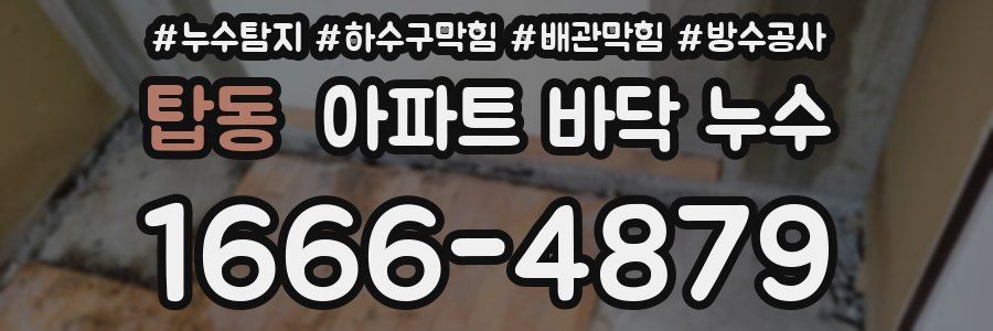 탑동 아파트 바닥 누수