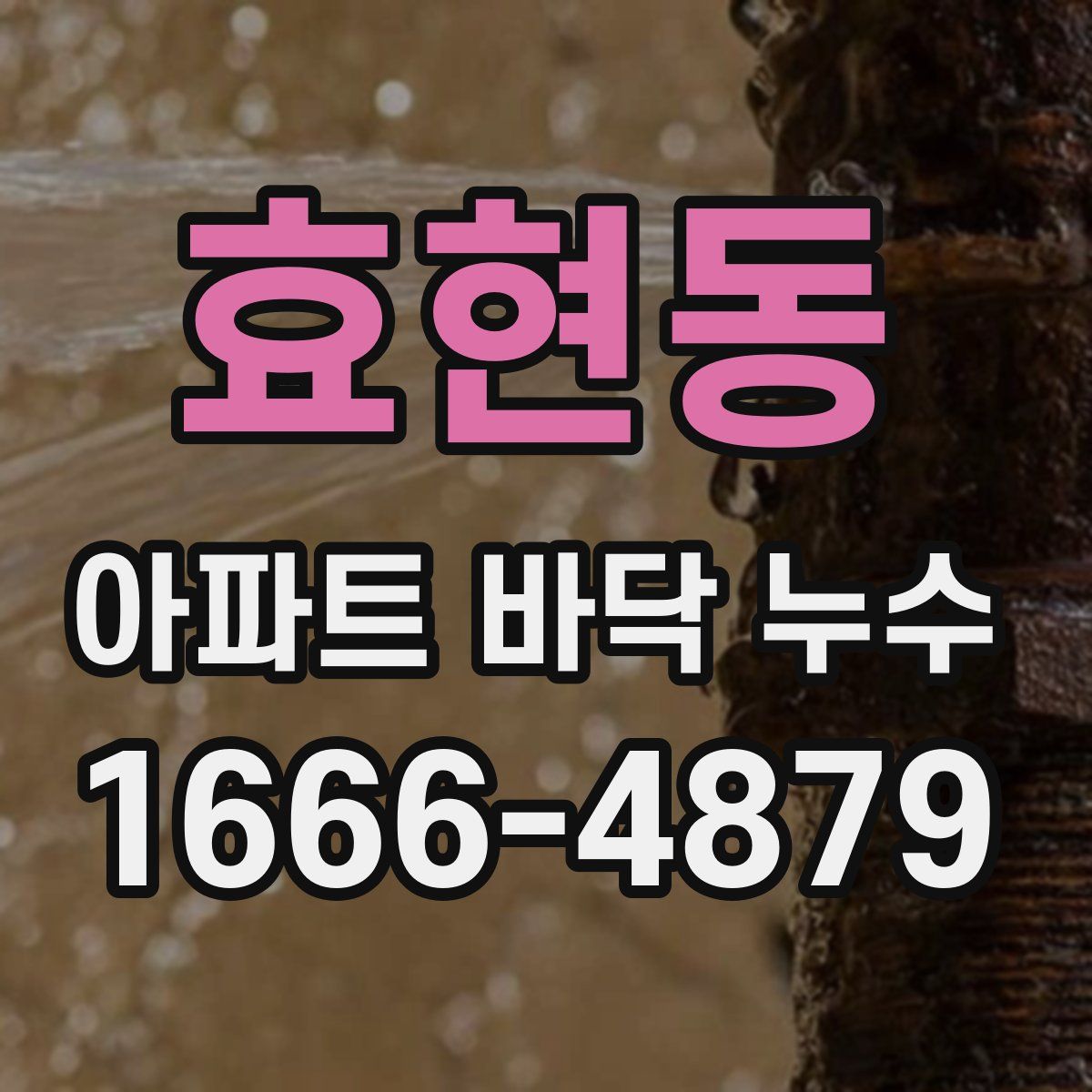 효현동 아파트 바닥 누수