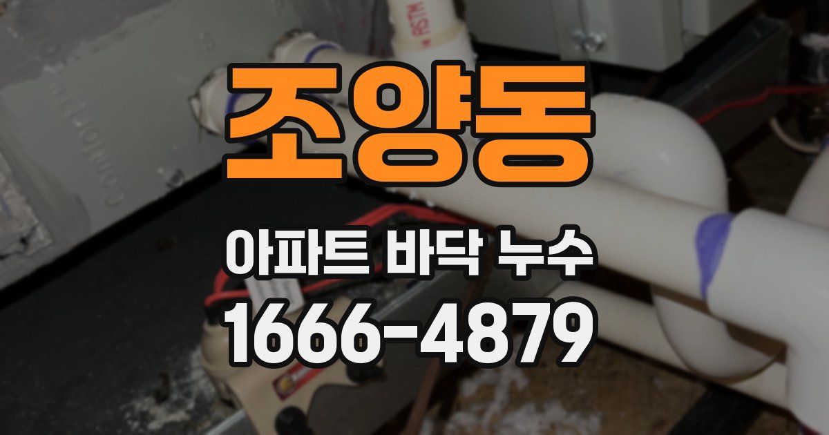 조양동 아파트 바닥 누수