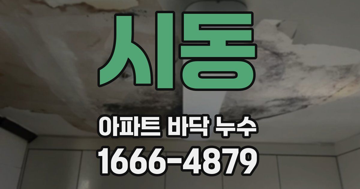 시동 아파트 바닥 누수