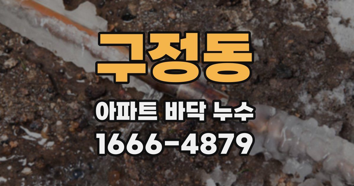 구정동 아파트 바닥 누수