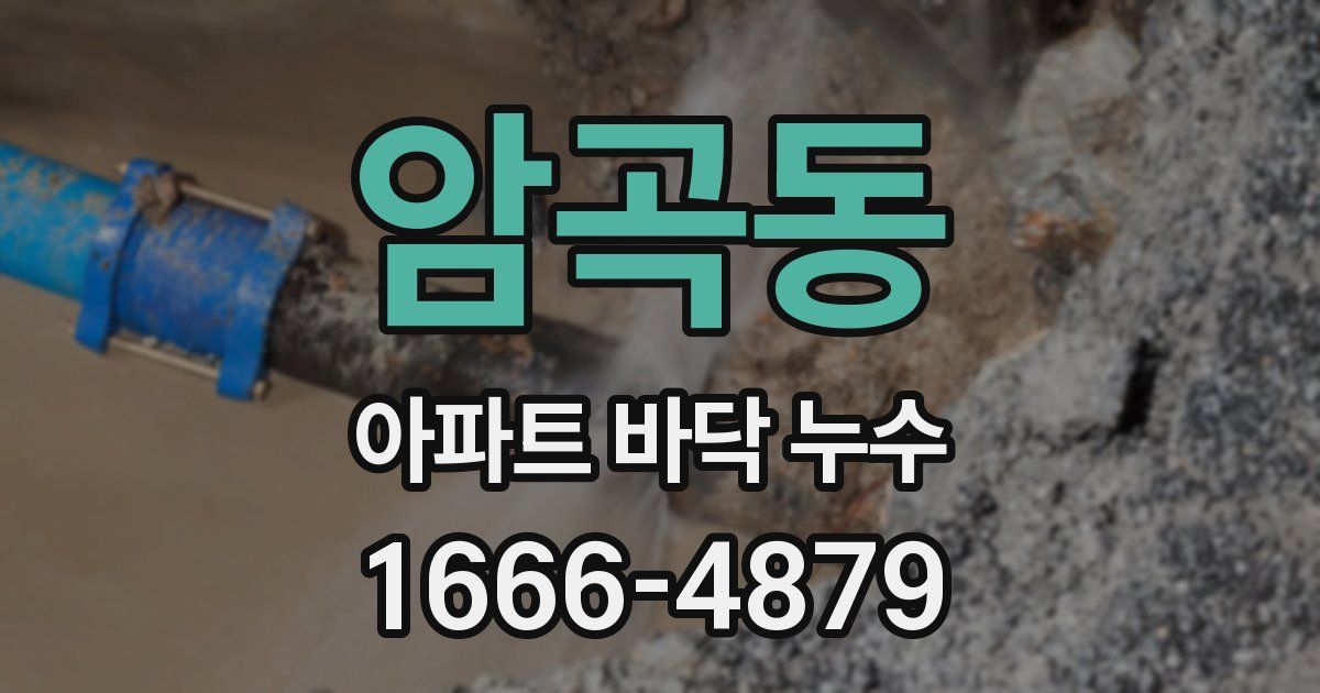 암곡동 아파트 바닥 누수