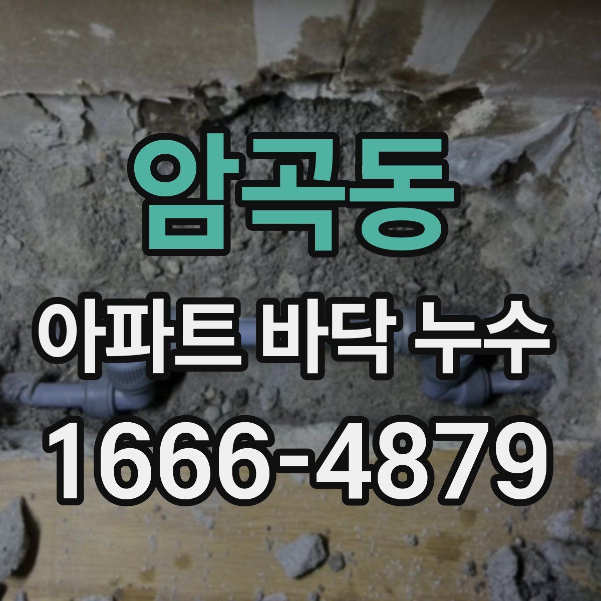암곡동 아파트 바닥 누수