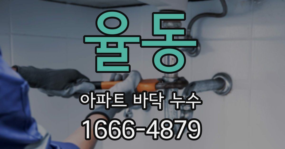 율동 아파트 바닥 누수