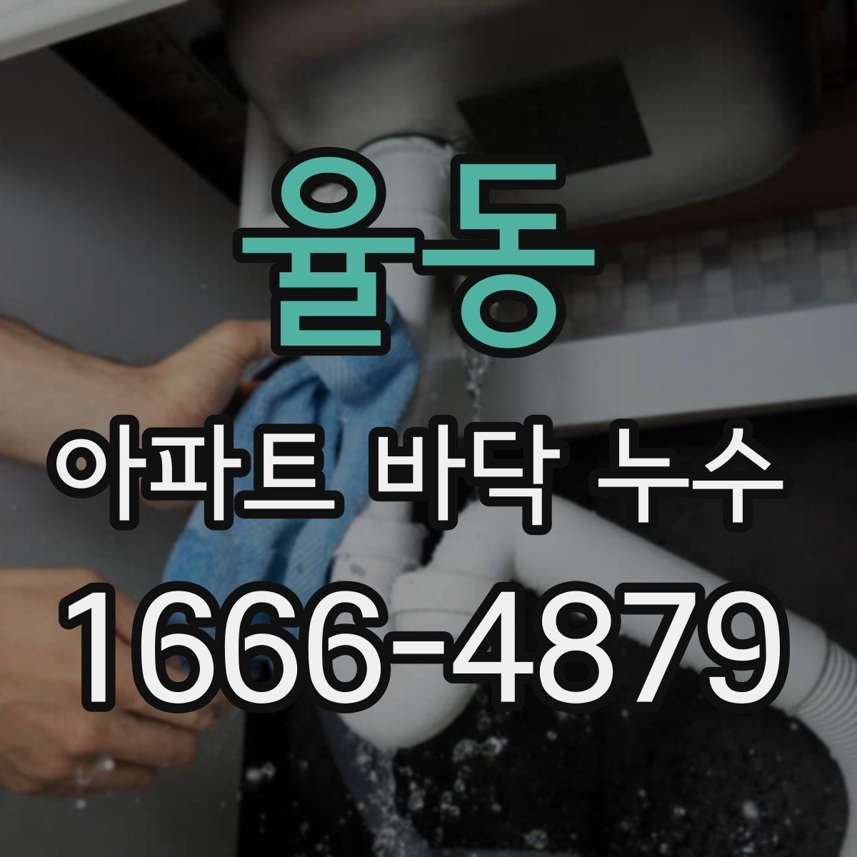 율동 아파트 바닥 누수