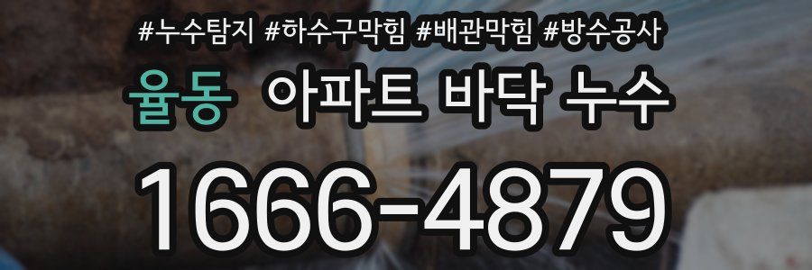 율동 아파트 바닥 누수
