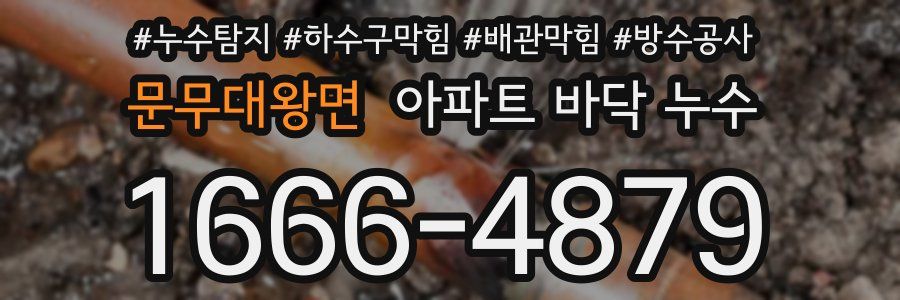 문무대왕면 아파트 바닥 누수