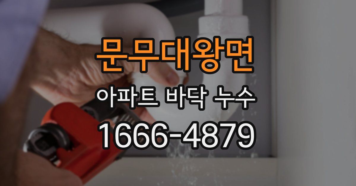 문무대왕면 아파트 바닥 누수