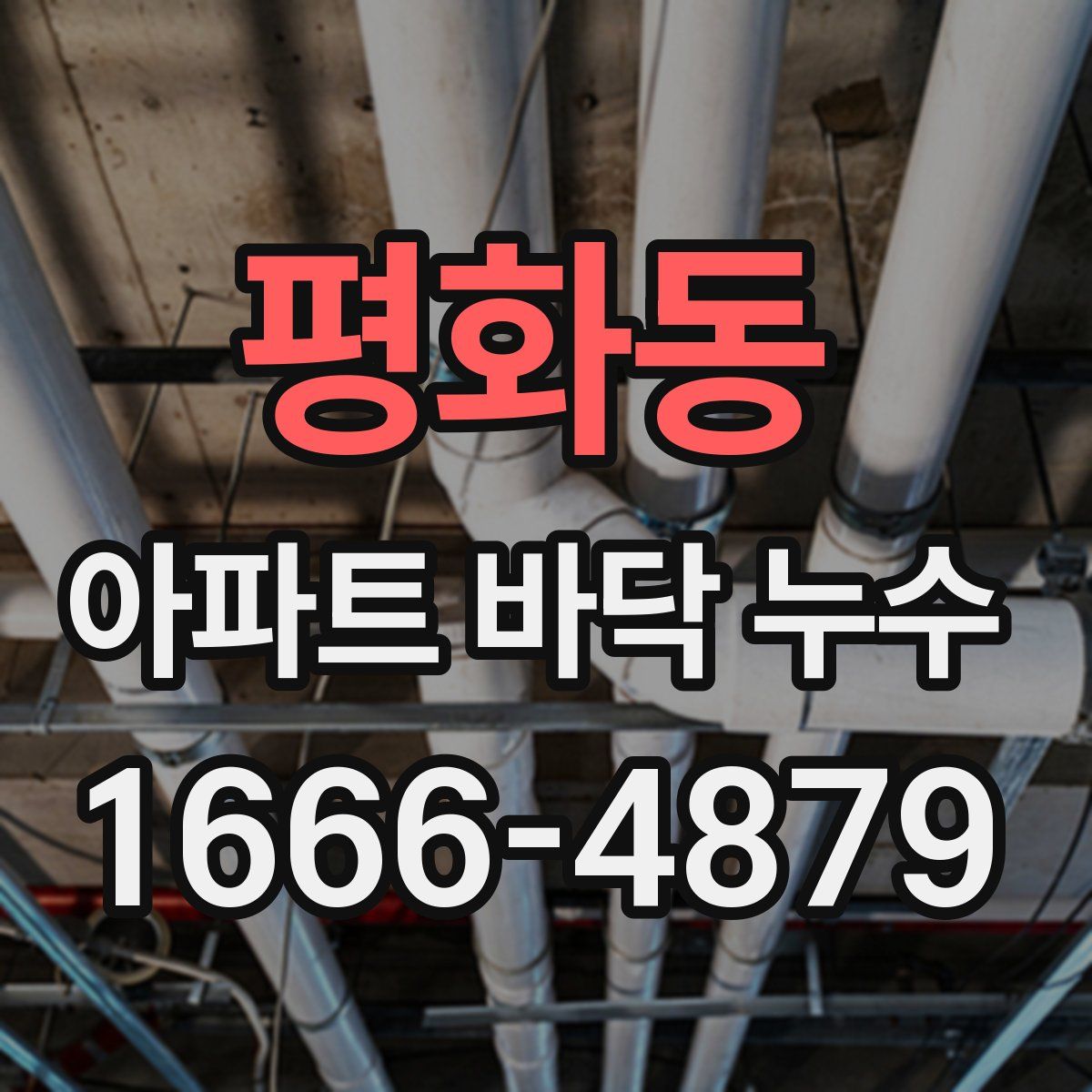 평화동 아파트 바닥 누수