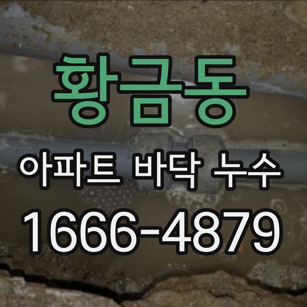 황금동 아파트 바닥 누수