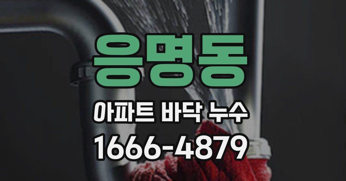 응명동 아파트 바닥 누수