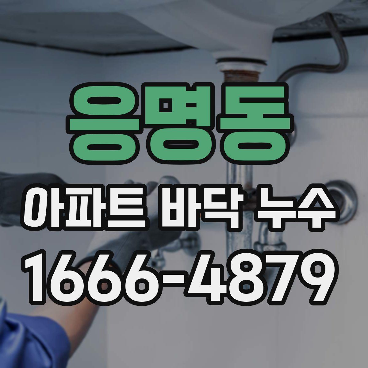 응명동 아파트 바닥 누수