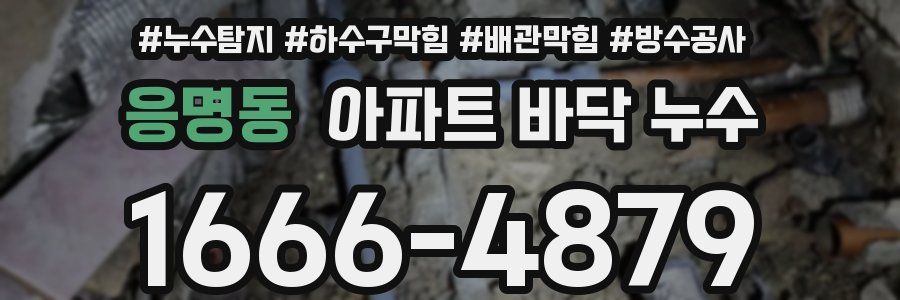응명동 아파트 바닥 누수