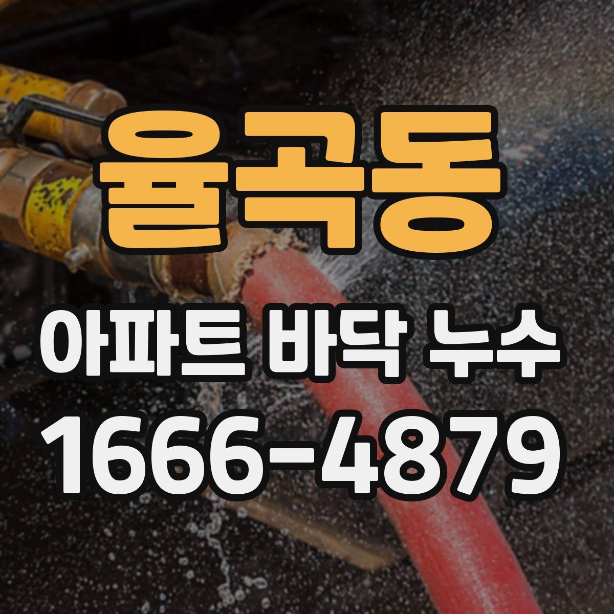 율곡동 아파트 바닥 누수