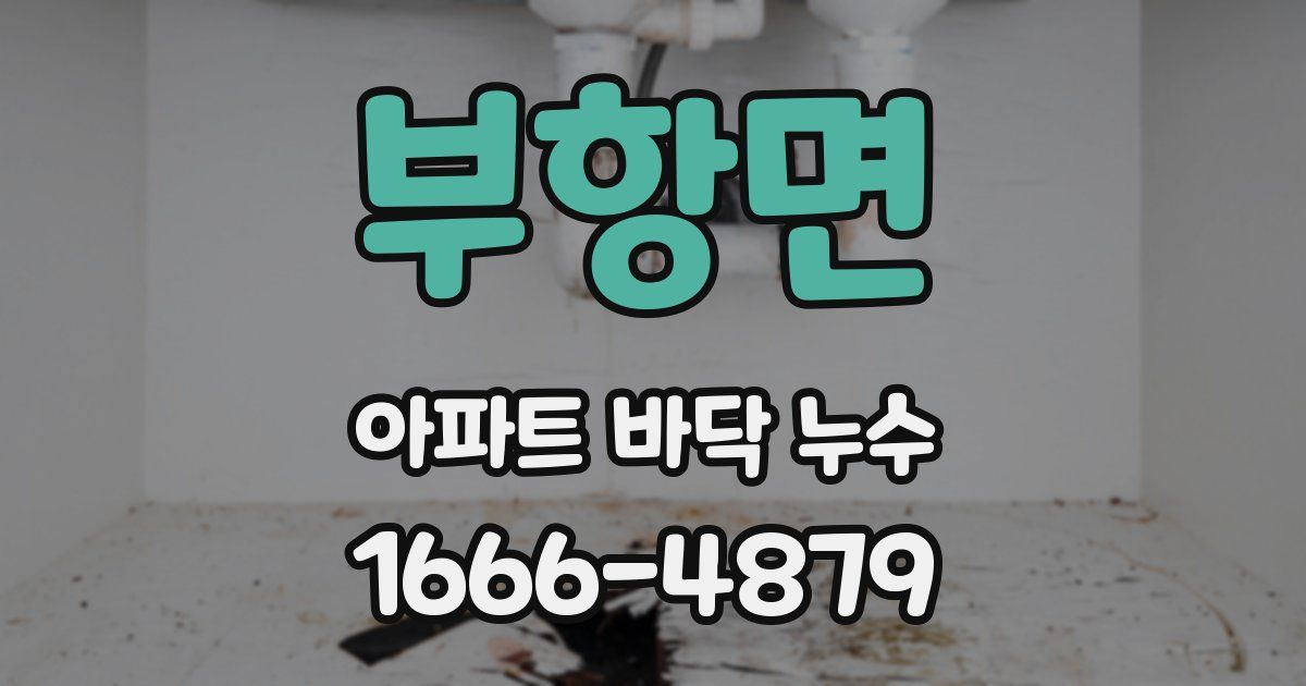 부항면 아파트 바닥 누수