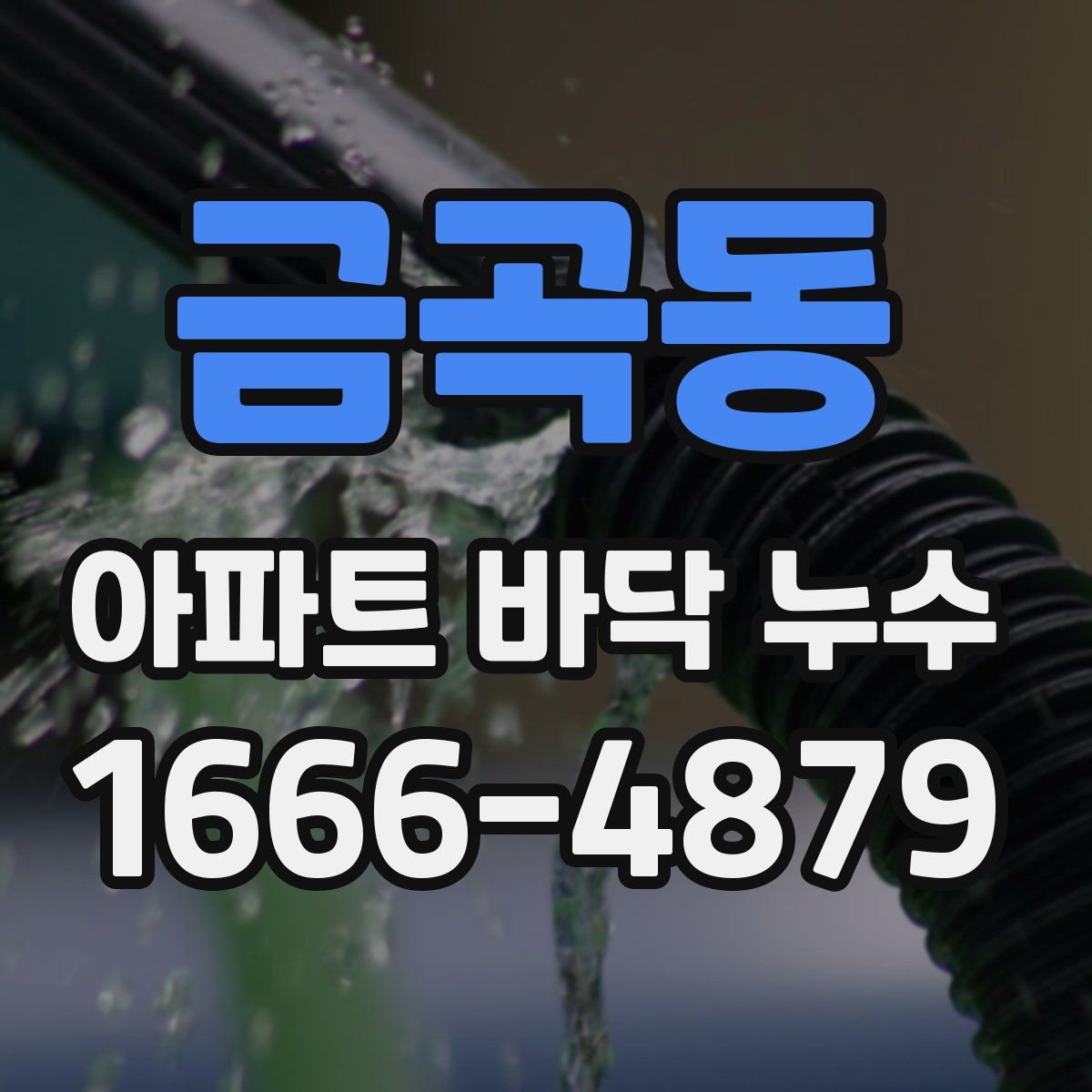 금곡동 아파트 바닥 누수