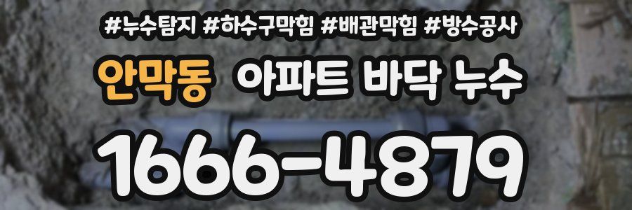 안막동 아파트 바닥 누수