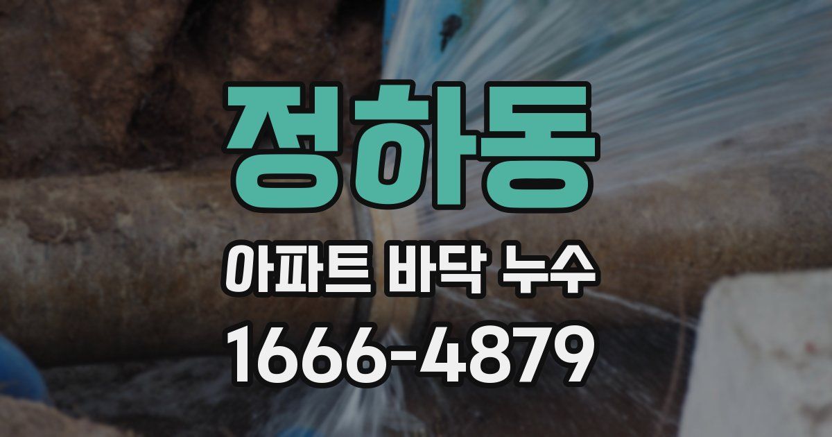 정하동 아파트 바닥 누수