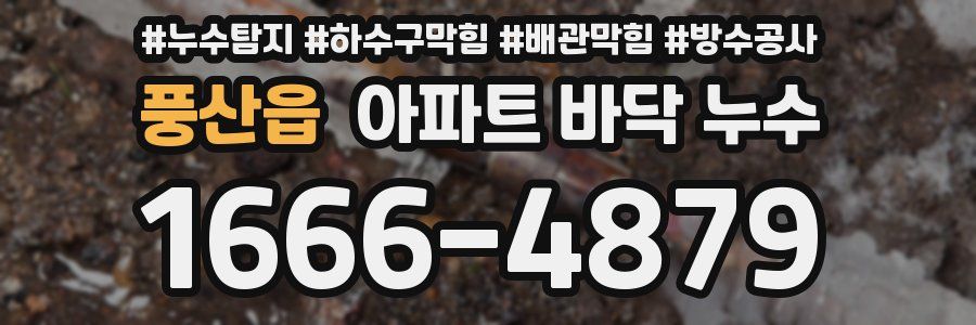 풍산읍 아파트 바닥 누수