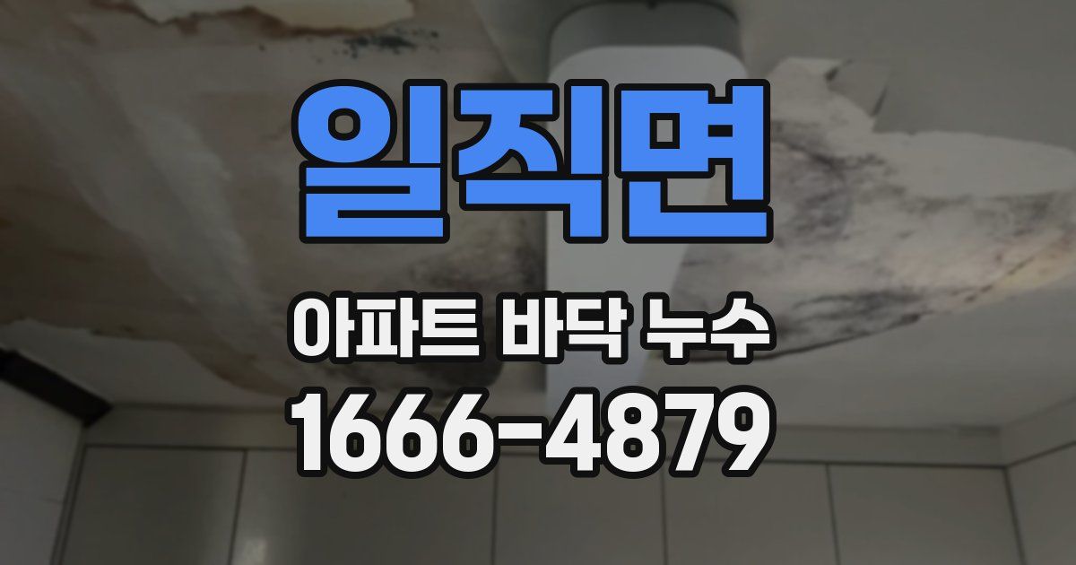 일직면 아파트 바닥 누수