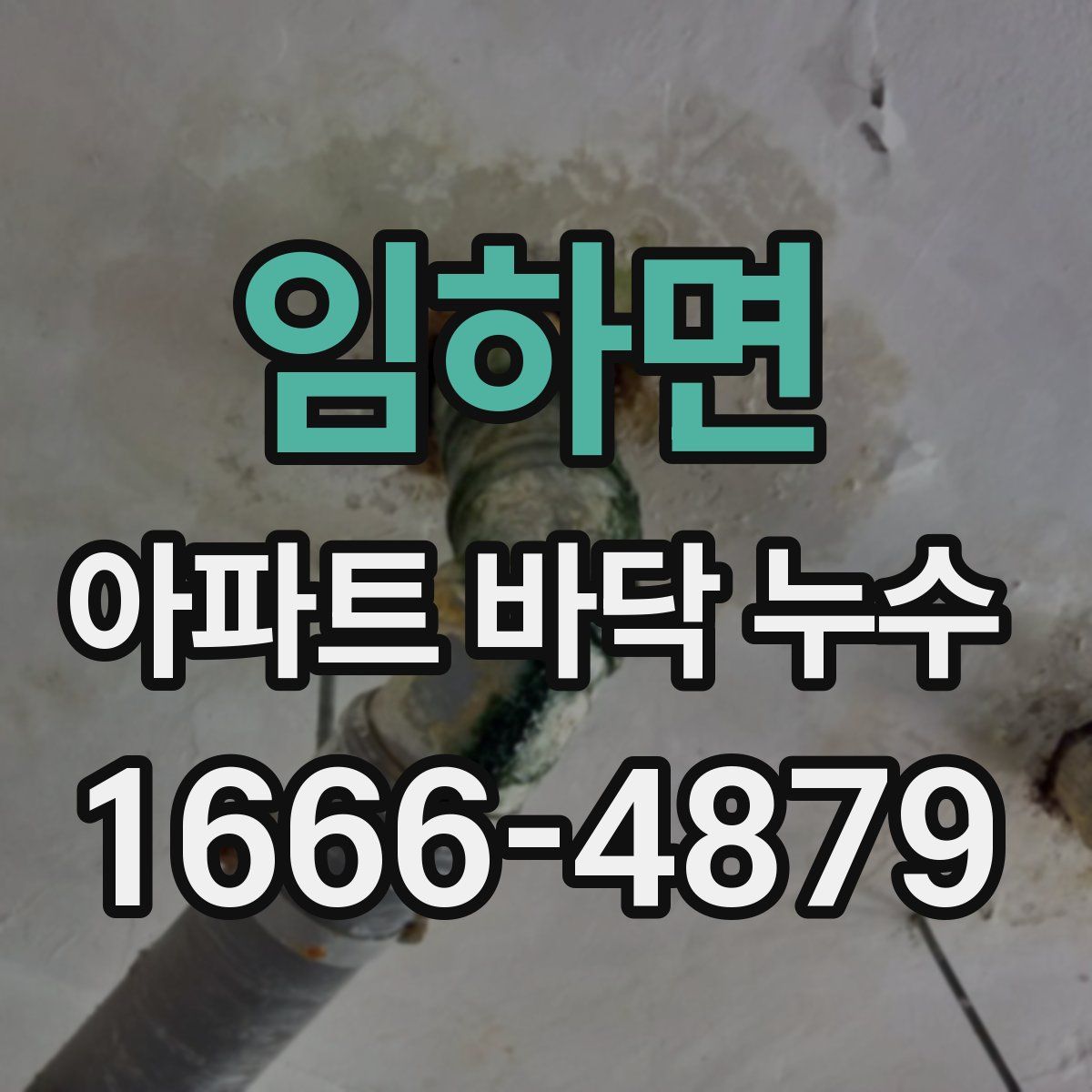 임하면 아파트 바닥 누수