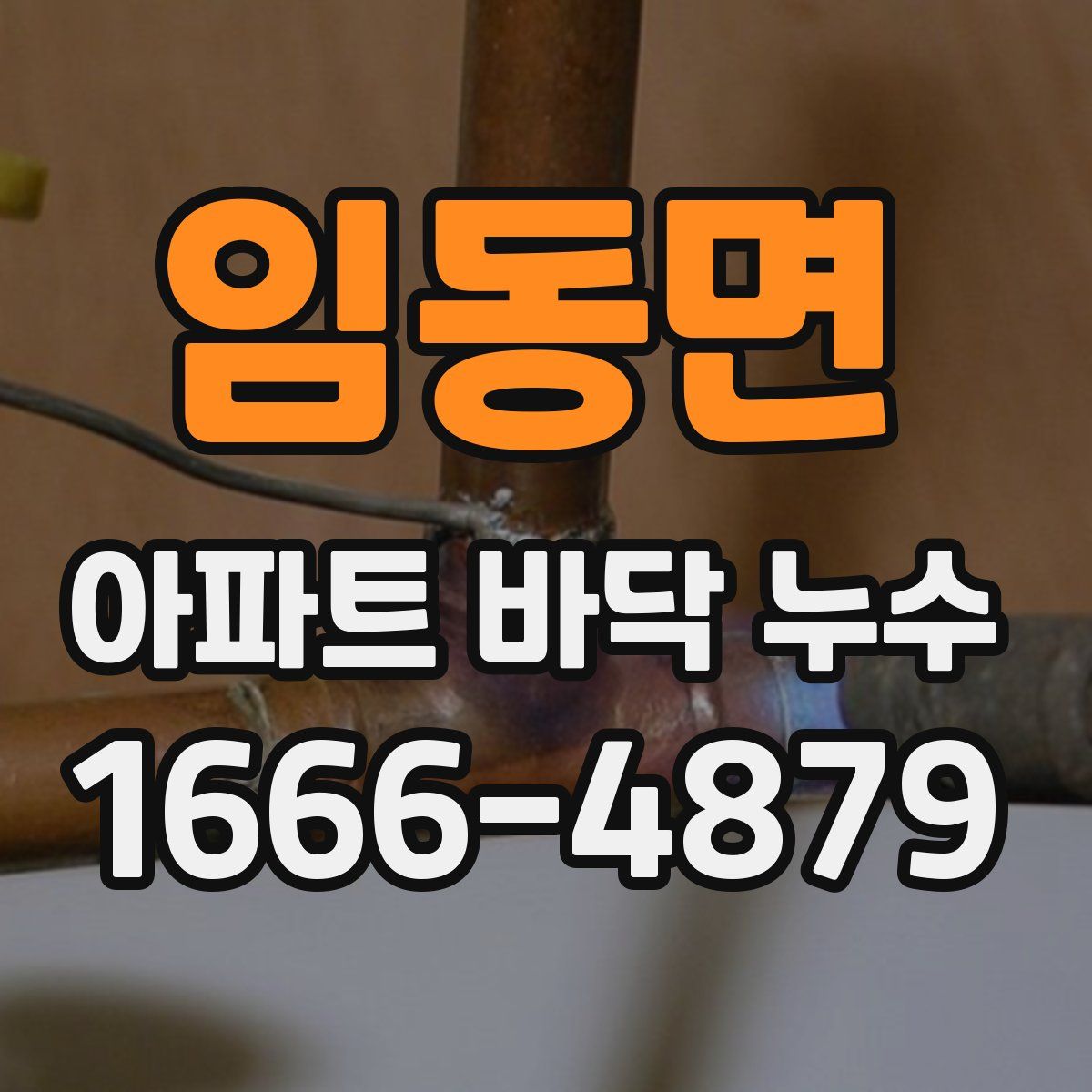 임동면 아파트 바닥 누수