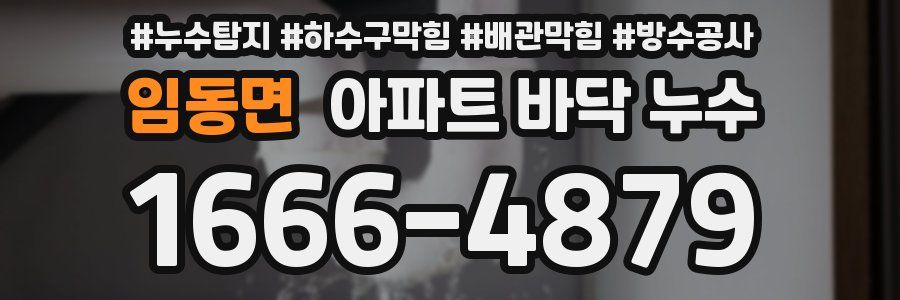 임동면 아파트 바닥 누수