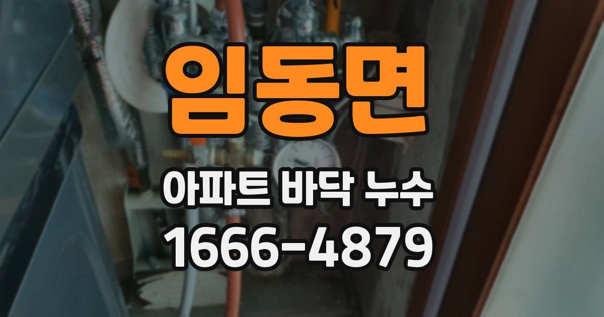 임동면 아파트 바닥 누수