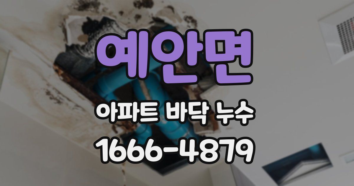 예안면 아파트 바닥 누수