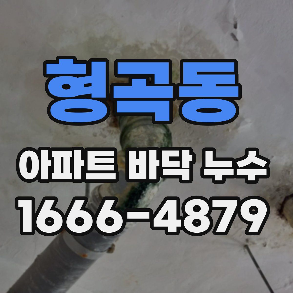 형곡동 아파트 바닥 누수