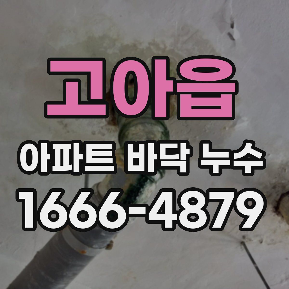 고아읍 아파트 바닥 누수