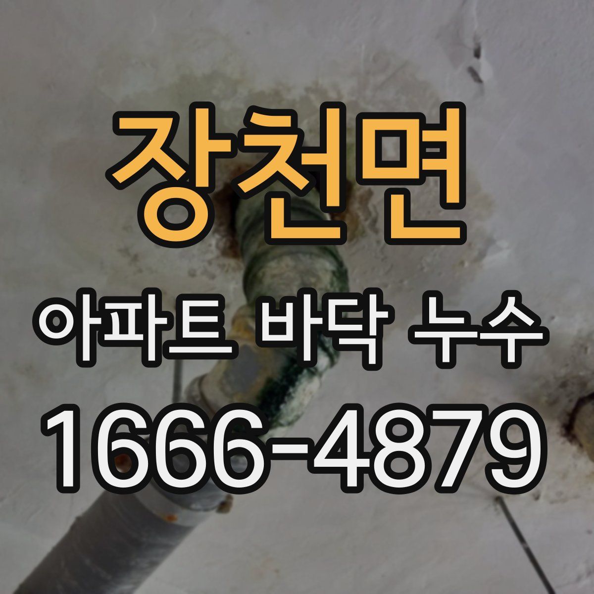 장천면 아파트 바닥 누수