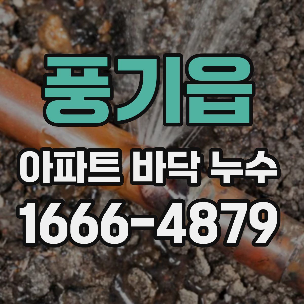 풍기읍 아파트 바닥 누수