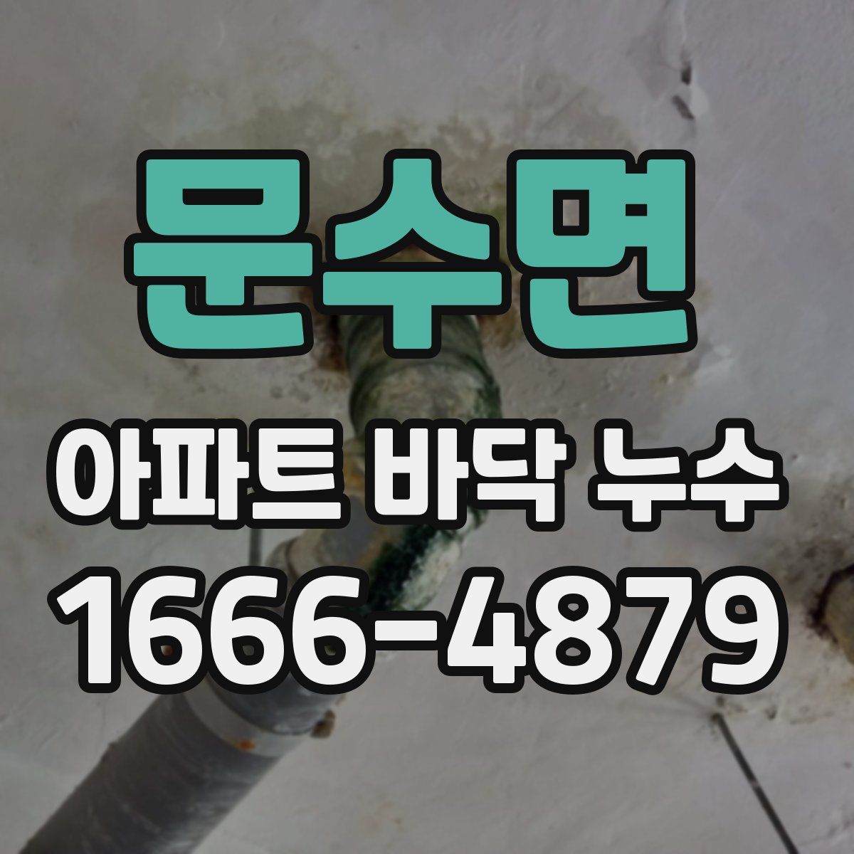 문수면 아파트 바닥 누수