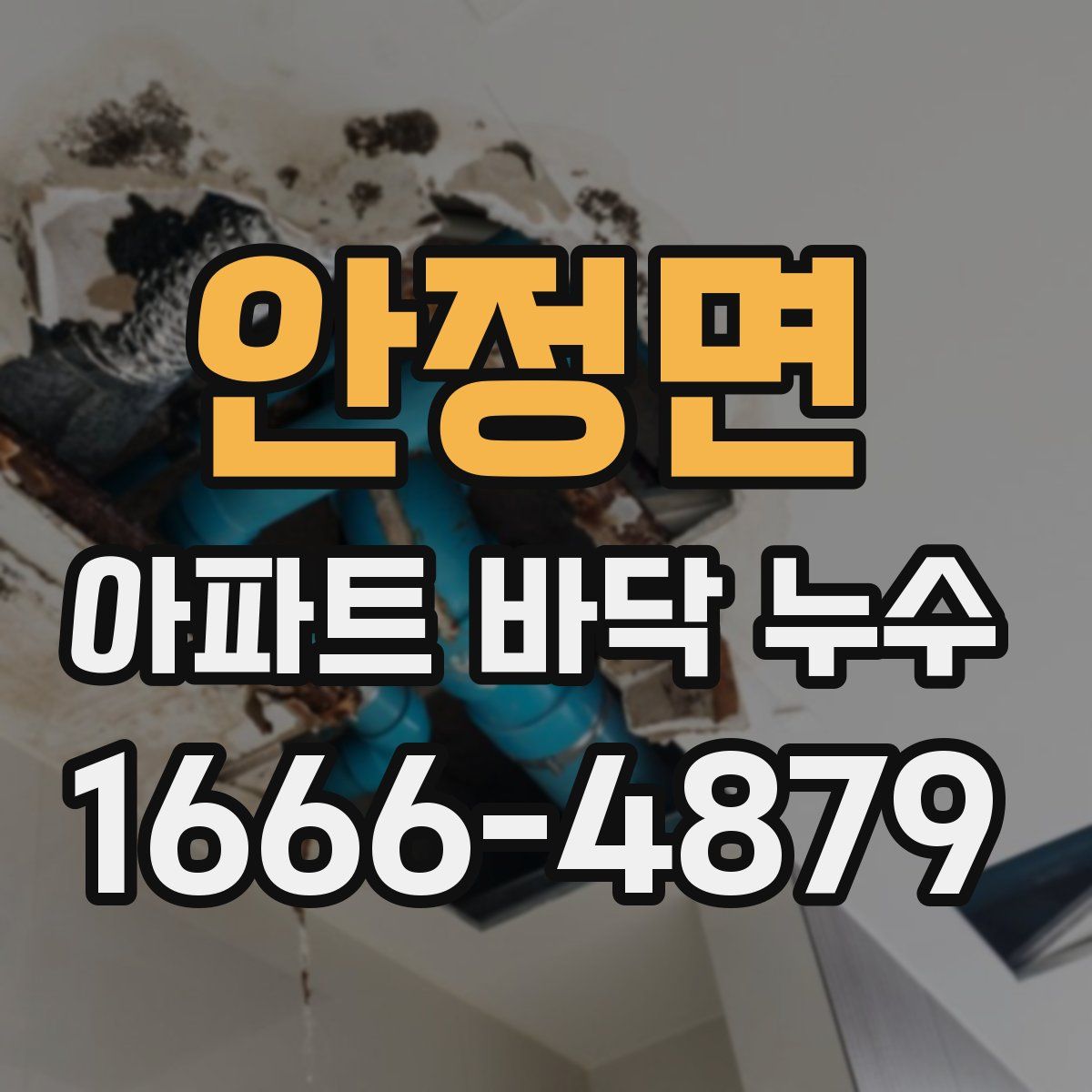 안정면 아파트 바닥 누수