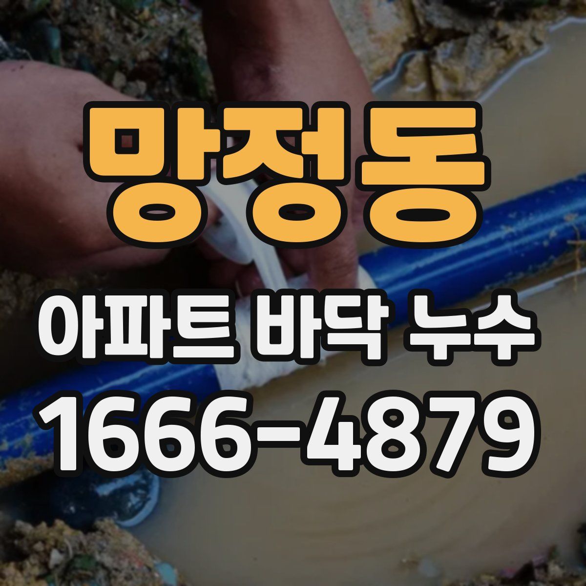 망정동 아파트 바닥 누수