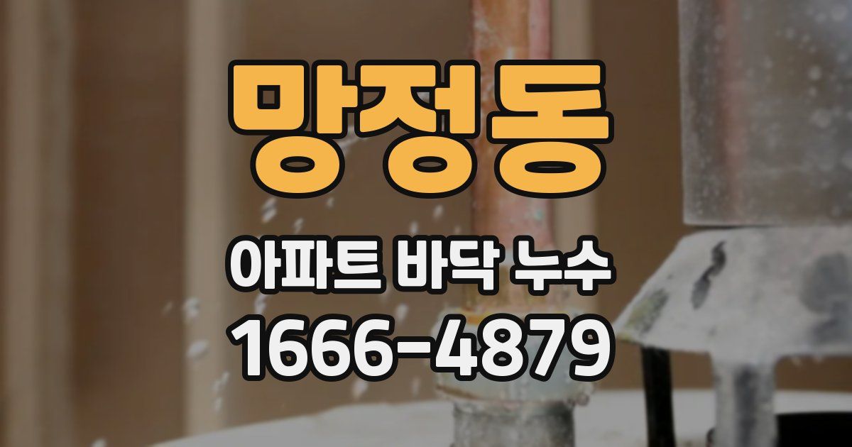 망정동 아파트 바닥 누수