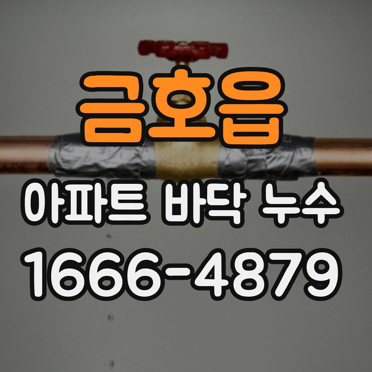 금호읍 아파트 바닥 누수