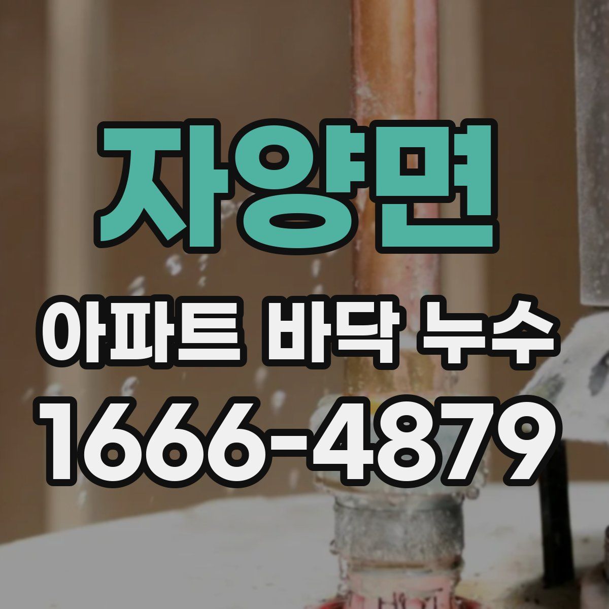자양면 아파트 바닥 누수