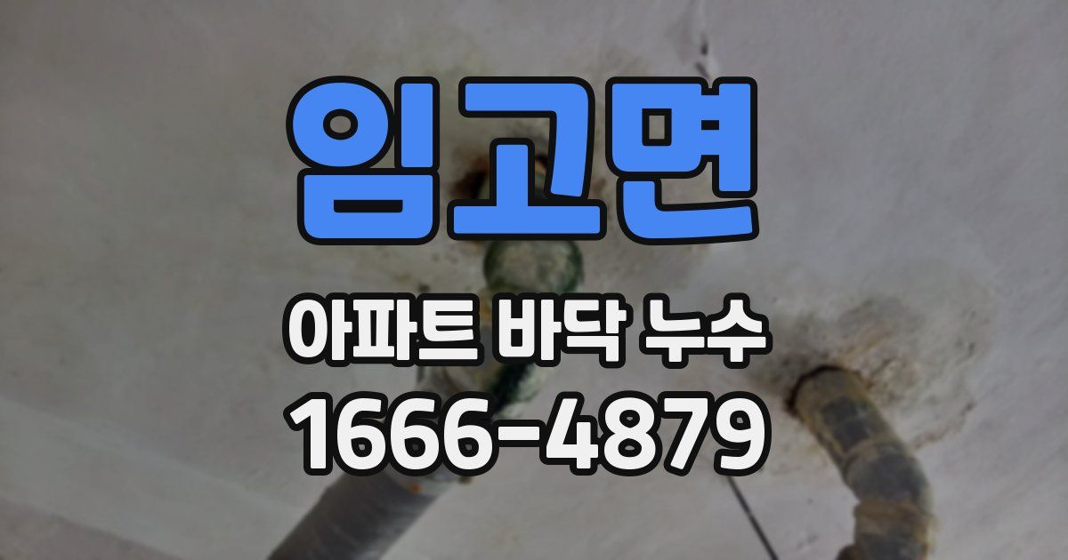 임고면 아파트 바닥 누수