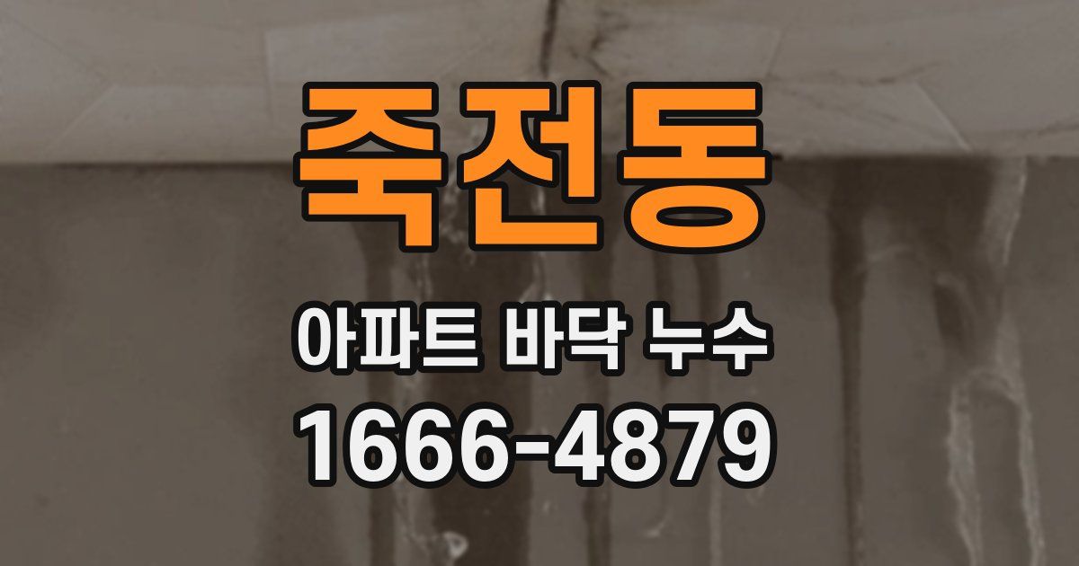 죽전동 아파트 바닥 누수