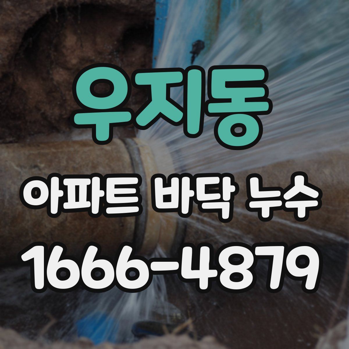 우지동 아파트 바닥 누수