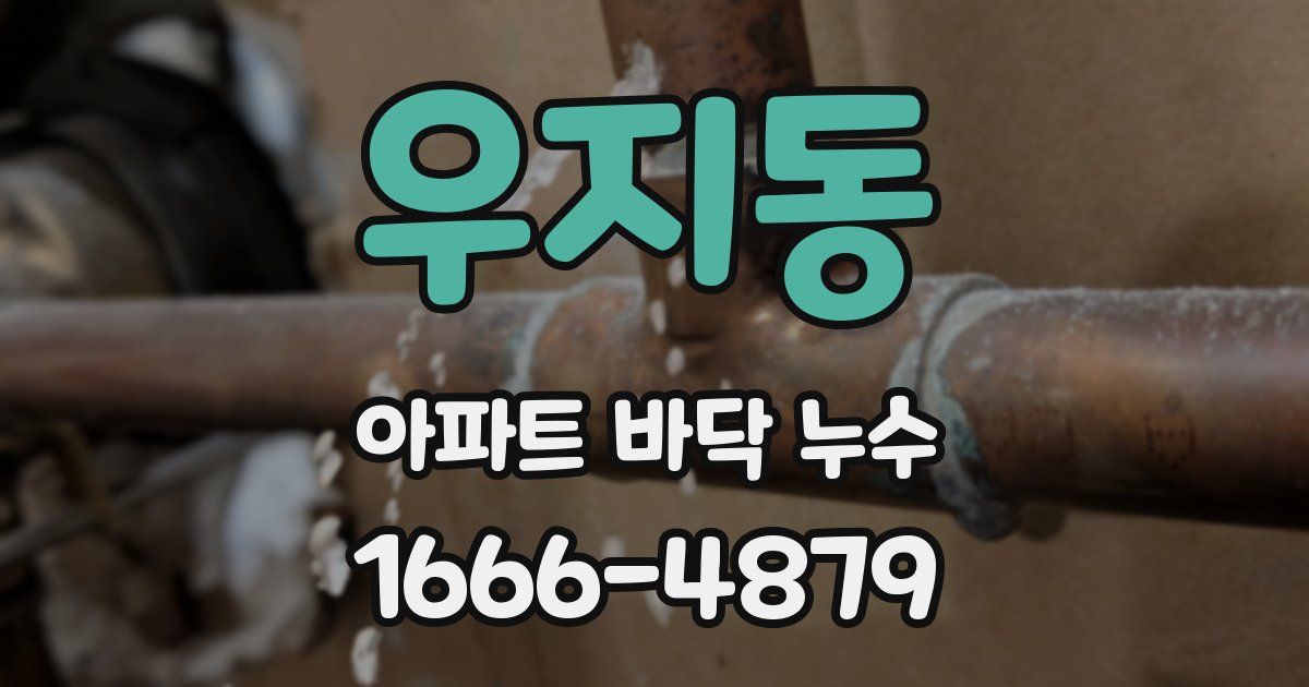 우지동 아파트 바닥 누수