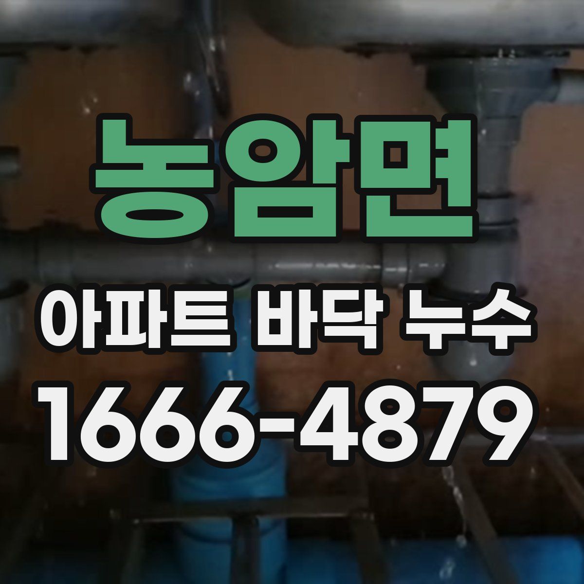 농암면 아파트 바닥 누수