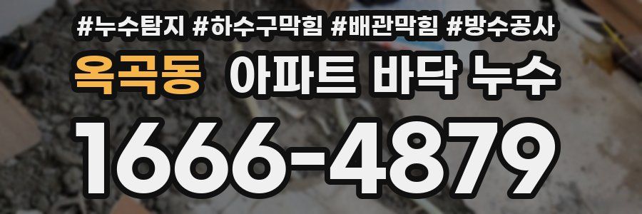 옥곡동 아파트 바닥 누수