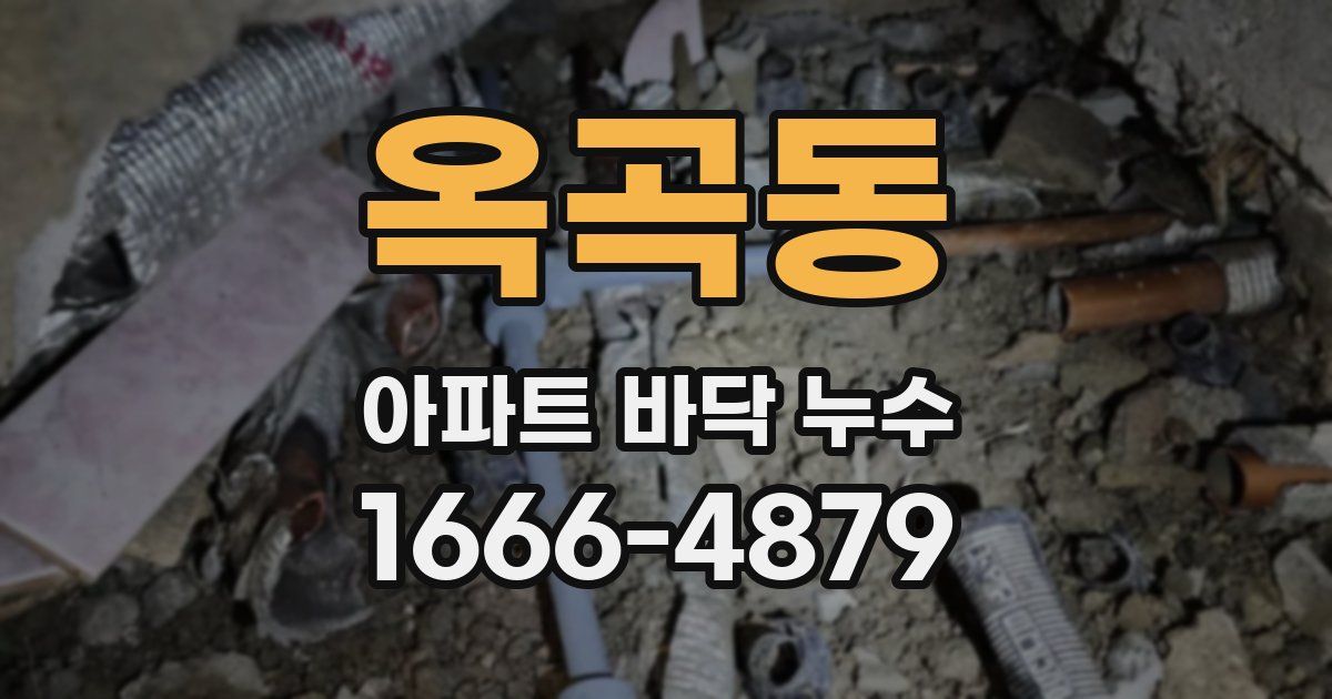 옥곡동 아파트 바닥 누수